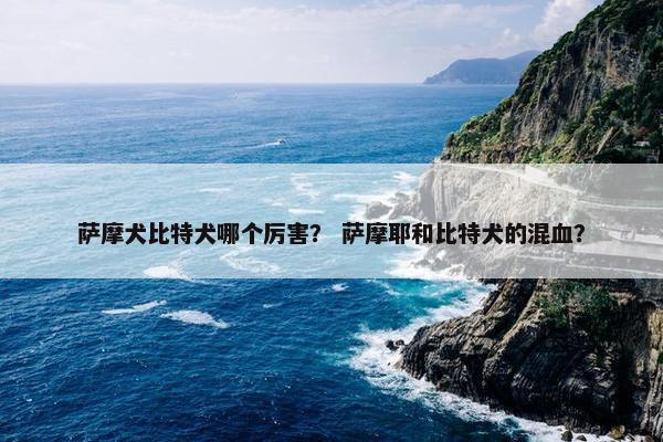 萨摩犬比特犬哪个厉害？ 萨摩耶和比特犬的混血？