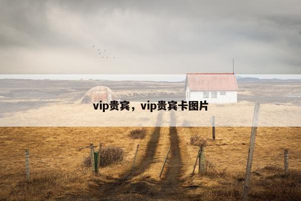 vip贵宾，vip贵宾卡图片