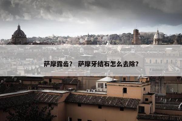 年龄