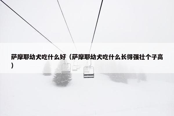 萨摩耶幼犬吃什么好（萨摩耶幼犬吃什么长得强壮个子高）