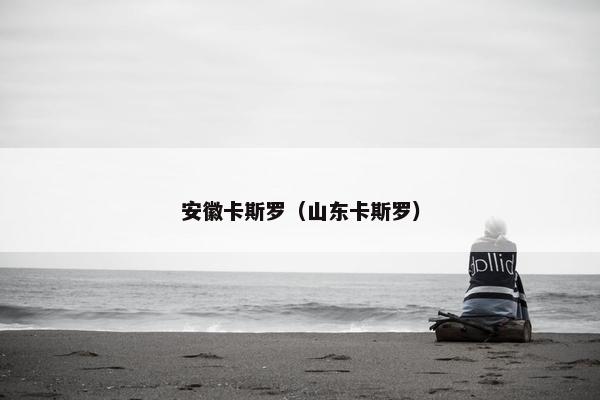 安徽卡斯罗（山东卡斯罗）
