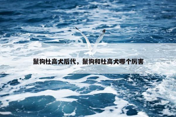 鬣狗杜高犬后代，鬣狗和杜高犬哪个厉害