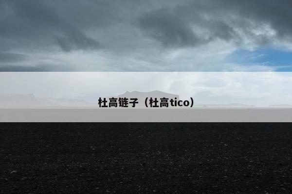 杜高链子（杜高tico）