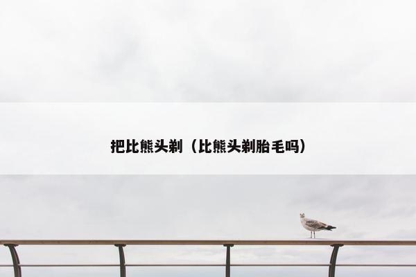 把比熊头剃（比熊头剃胎毛吗）