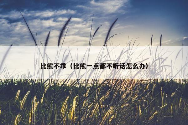 比熊不乖（比熊一点都不听话怎么办）