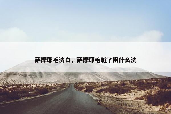 萨摩耶毛洗白，萨摩耶毛脏了用什么洗
