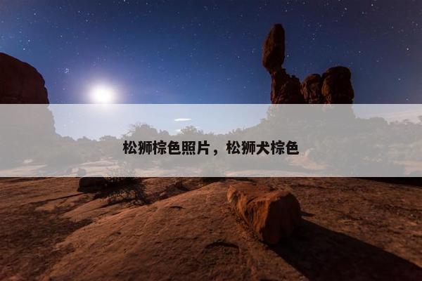 松狮棕色照片，松狮犬棕色