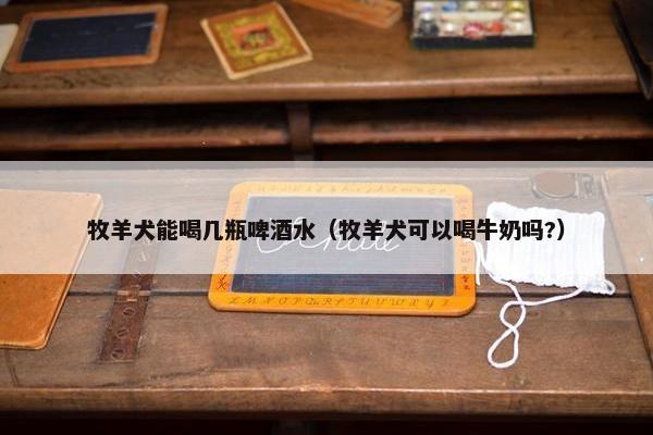 牧羊犬能喝几瓶啤酒水（牧羊犬可以喝牛奶吗?）