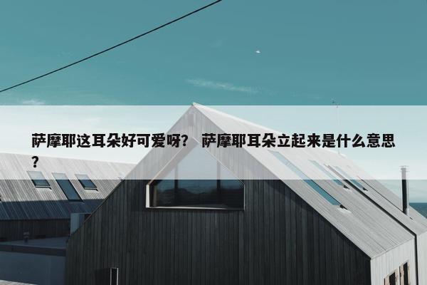 萨摩耶这耳朵好可爱呀？ 萨摩耶耳朵立起来是什么意思？
