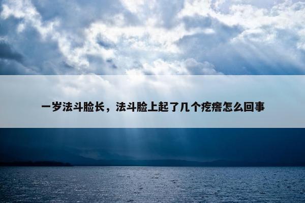 一岁法斗脸长，法斗脸上起了几个疙瘩怎么回事