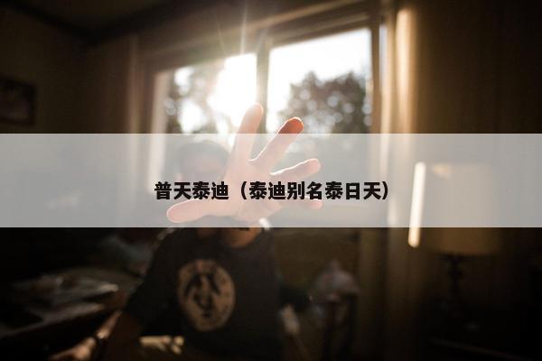 普天泰迪（泰迪别名泰日天）