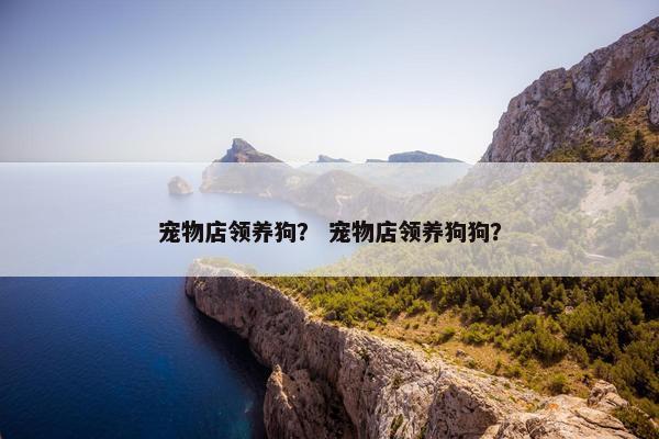 宠物店领养狗？ 宠物店领养狗狗？