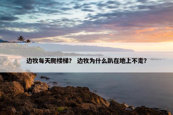 边牧每天爬楼梯？ 边牧为什么趴在地上不走？