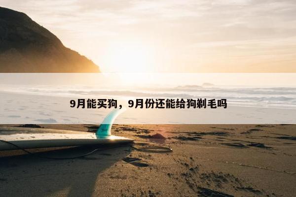 9月能买狗，9月份还能给狗剃毛吗