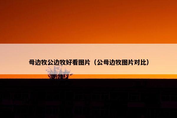 2025年6月17日