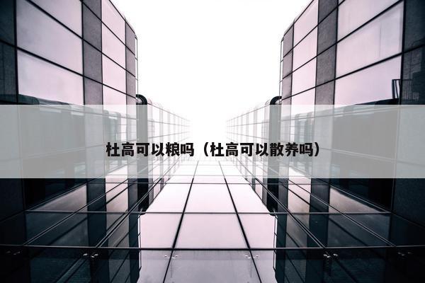 杜高可以粮吗（杜高可以散养吗）