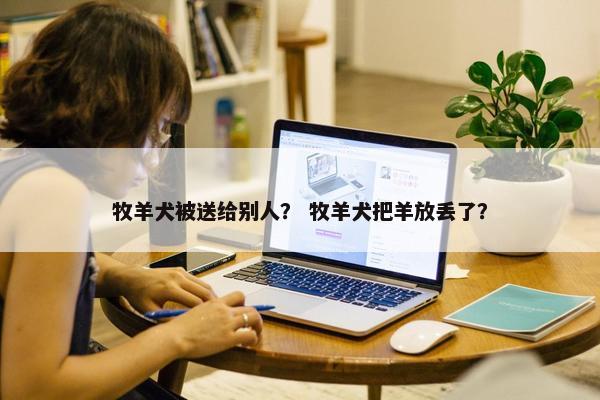 牧羊犬被送给别人？ 牧羊犬把羊放丢了？