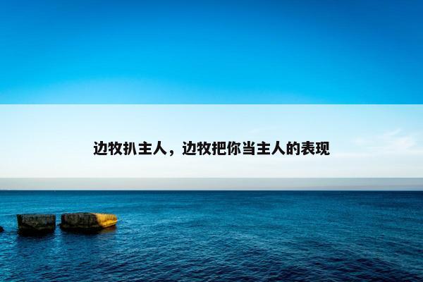 边牧扒主人，边牧把你当主人的表现