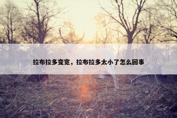 拉布拉多变宽，拉布拉多太小了怎么回事
