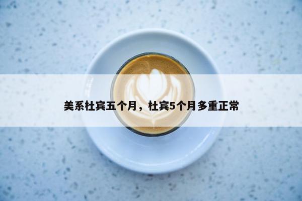 美系杜宾五个月，杜宾5个月多重正常