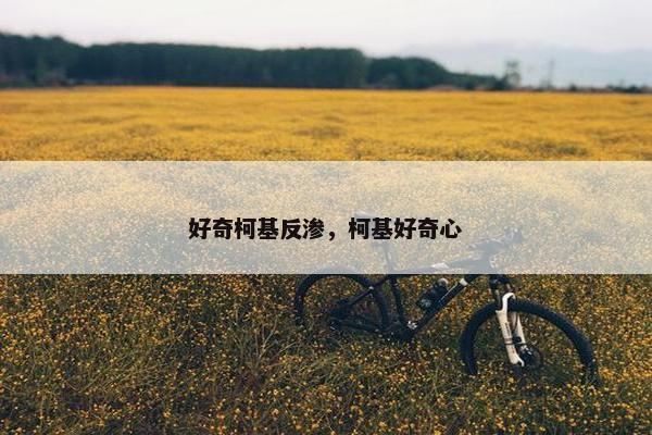 好奇柯基反渗，柯基好奇心