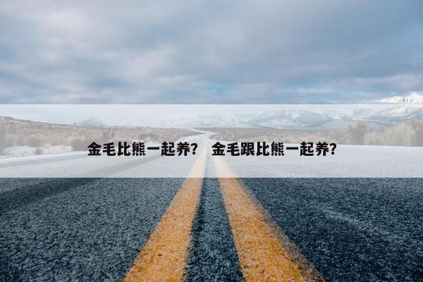 金毛比熊一起养？ 金毛跟比熊一起养？