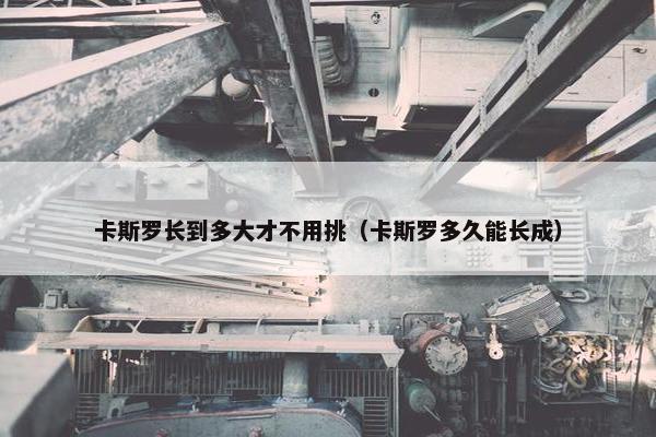 卡斯罗长到多大才不用挑（卡斯罗多久能长成）