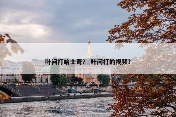 叶问打哈士奇？ 叶问打的视频？