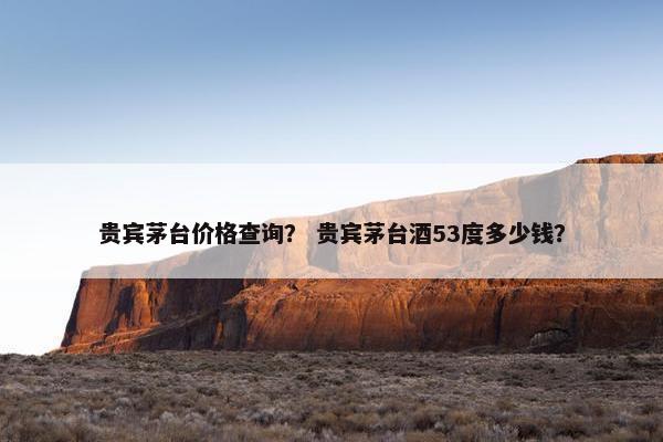 贵宾茅台价格查询？ 贵宾茅台酒53度多少钱？
