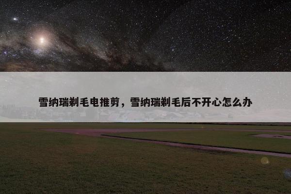 雪纳瑞剃毛电推剪，雪纳瑞剃毛后不开心怎么办