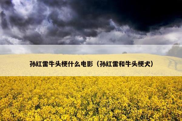 孙红雷牛头梗什么电影（孙红雷和牛头梗犬）