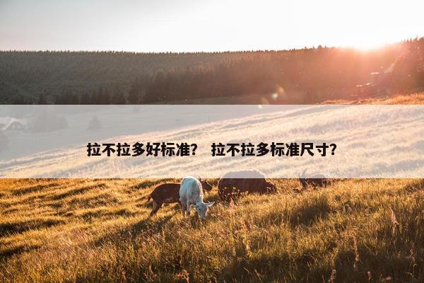 拉不拉多好标准？ 拉不拉多标准尺寸？