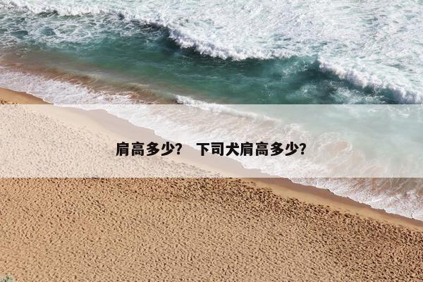 肩高多少？ 下司犬肩高多少？