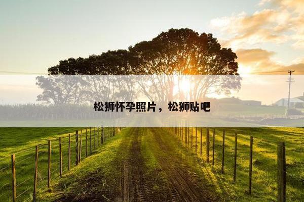 2025年6月18日 第8页