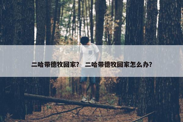 二哈带德牧回家？ 二哈带德牧回家怎么办？