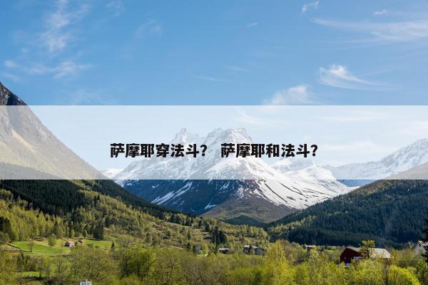 萨摩耶穿法斗？ 萨摩耶和法斗？