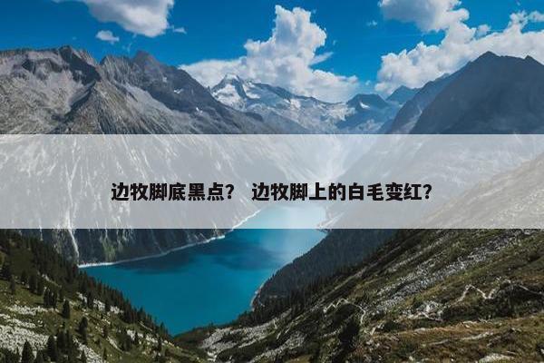 边牧脚底黑点？ 边牧脚上的白毛变红？