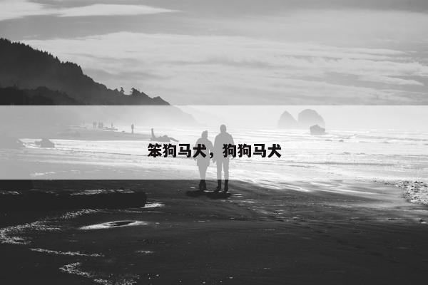 笨狗马犬，狗狗马犬