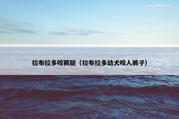 拉布拉多咬裤腿（拉布拉多幼犬咬人裤子）