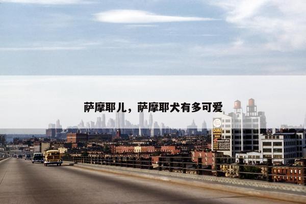 萨摩耶儿，萨摩耶犬有多可爱