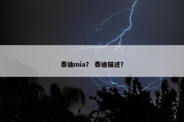 泰迪mia？ 泰迪描述？