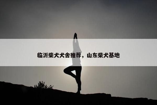 临沂柴犬犬舍推荐，山东柴犬基地