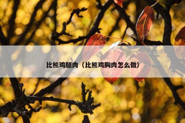比熊鸡腿肉（比熊鸡胸肉怎么做）