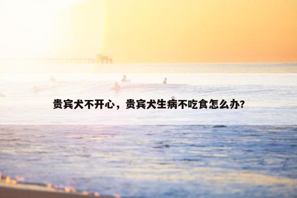 贵宾犬不开心，贵宾犬生病不吃食怎么办?