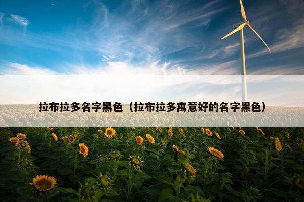 拉布拉多名字黑色（拉布拉多寓意好的名字黑色）