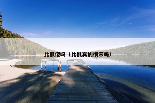 比熊傻吗（比熊真的很笨吗）
