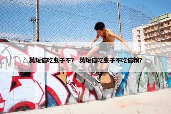 英短猫吃虫子不？ 英短猫吃虫子不吃猫粮？