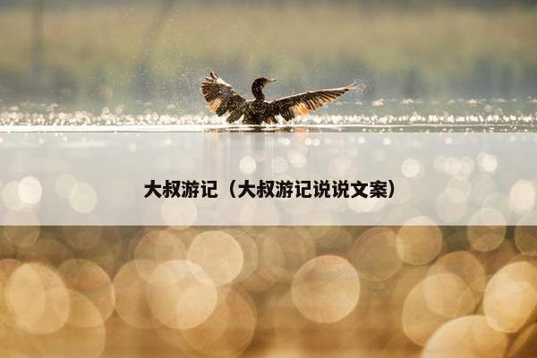大叔游记（大叔游记说说文案）