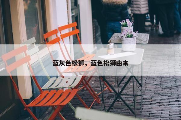 蓝灰色松狮，蓝色松狮由来
