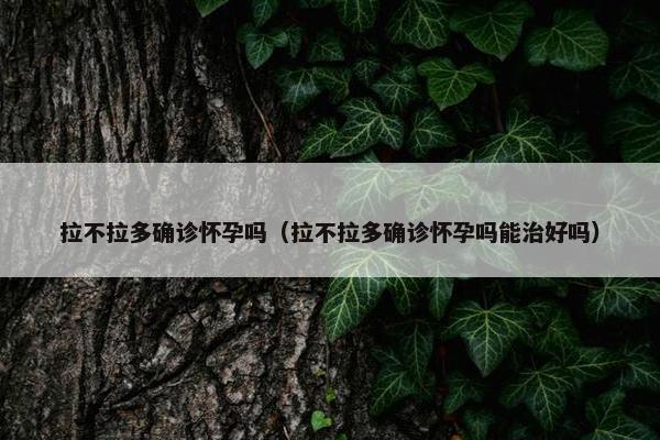拉不拉多确诊怀孕吗（拉不拉多确诊怀孕吗能治好吗）